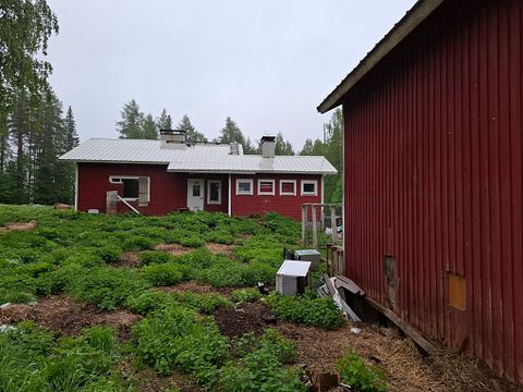 Image 9/40