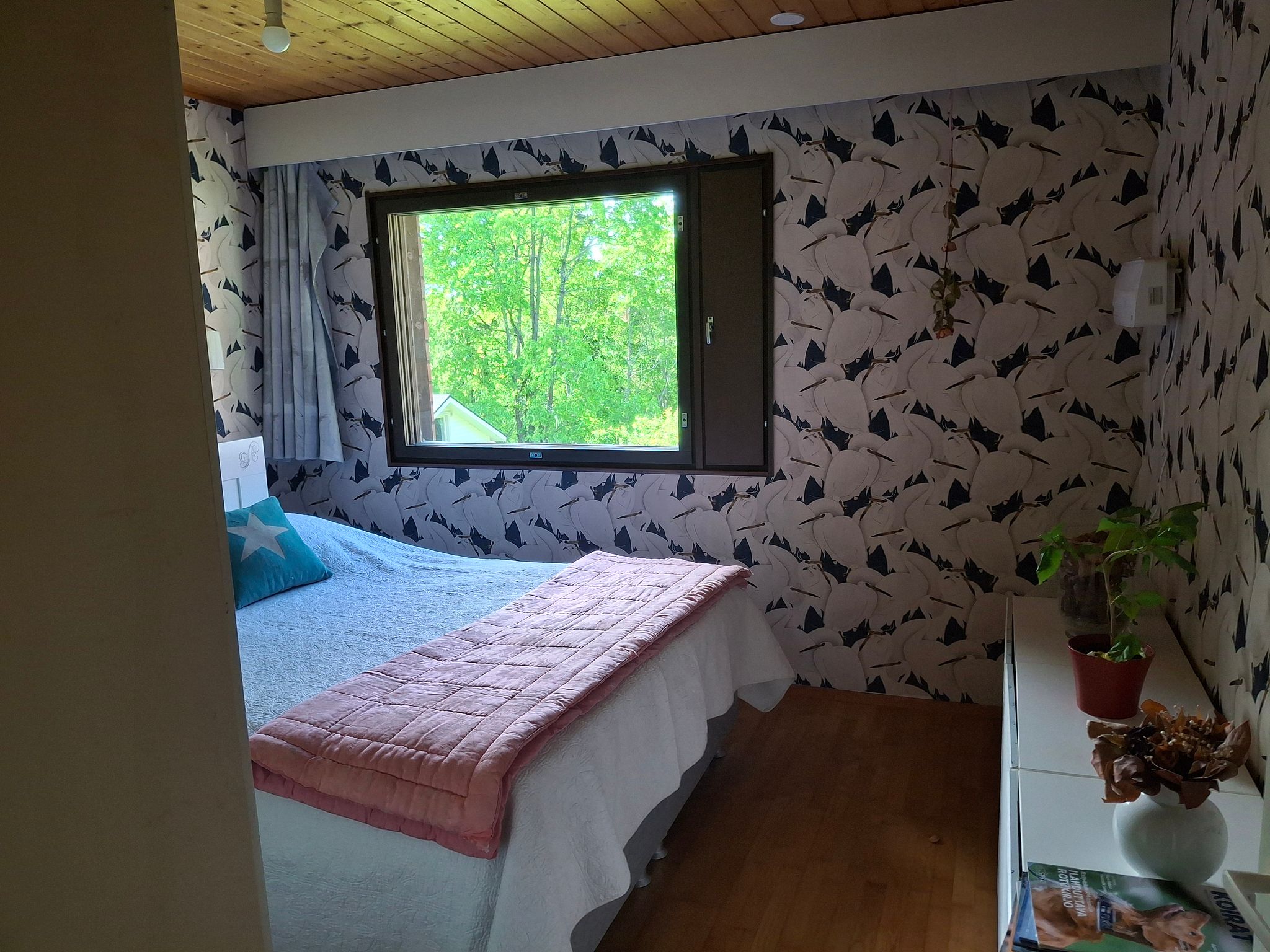 Image 6/27