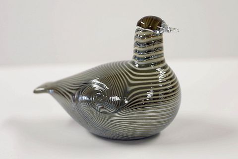 Image 1/16