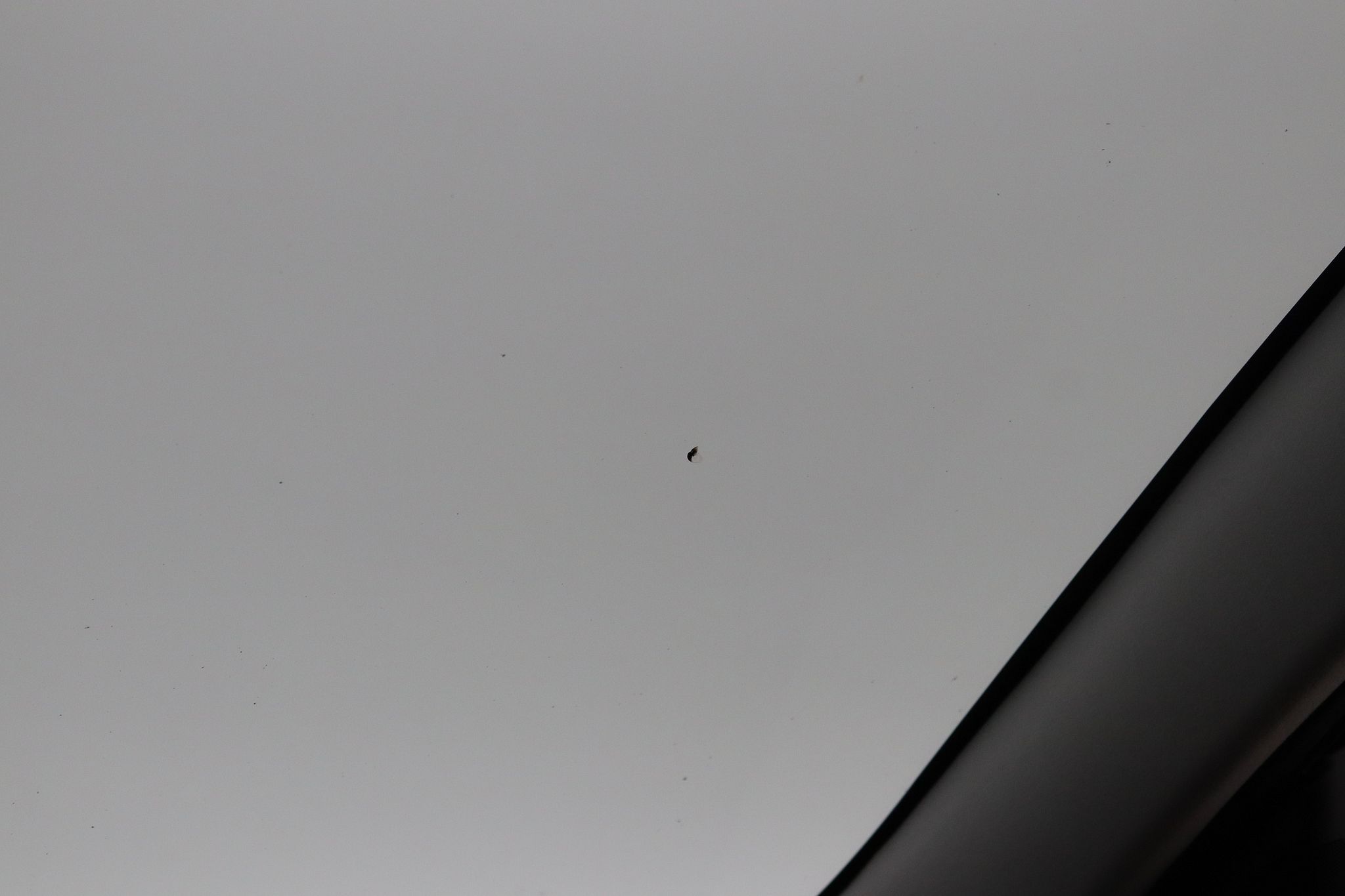 Image 24/49