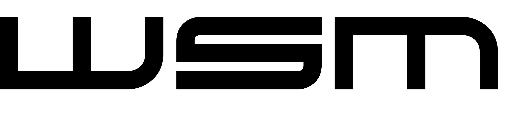 WS Motors Oy logo