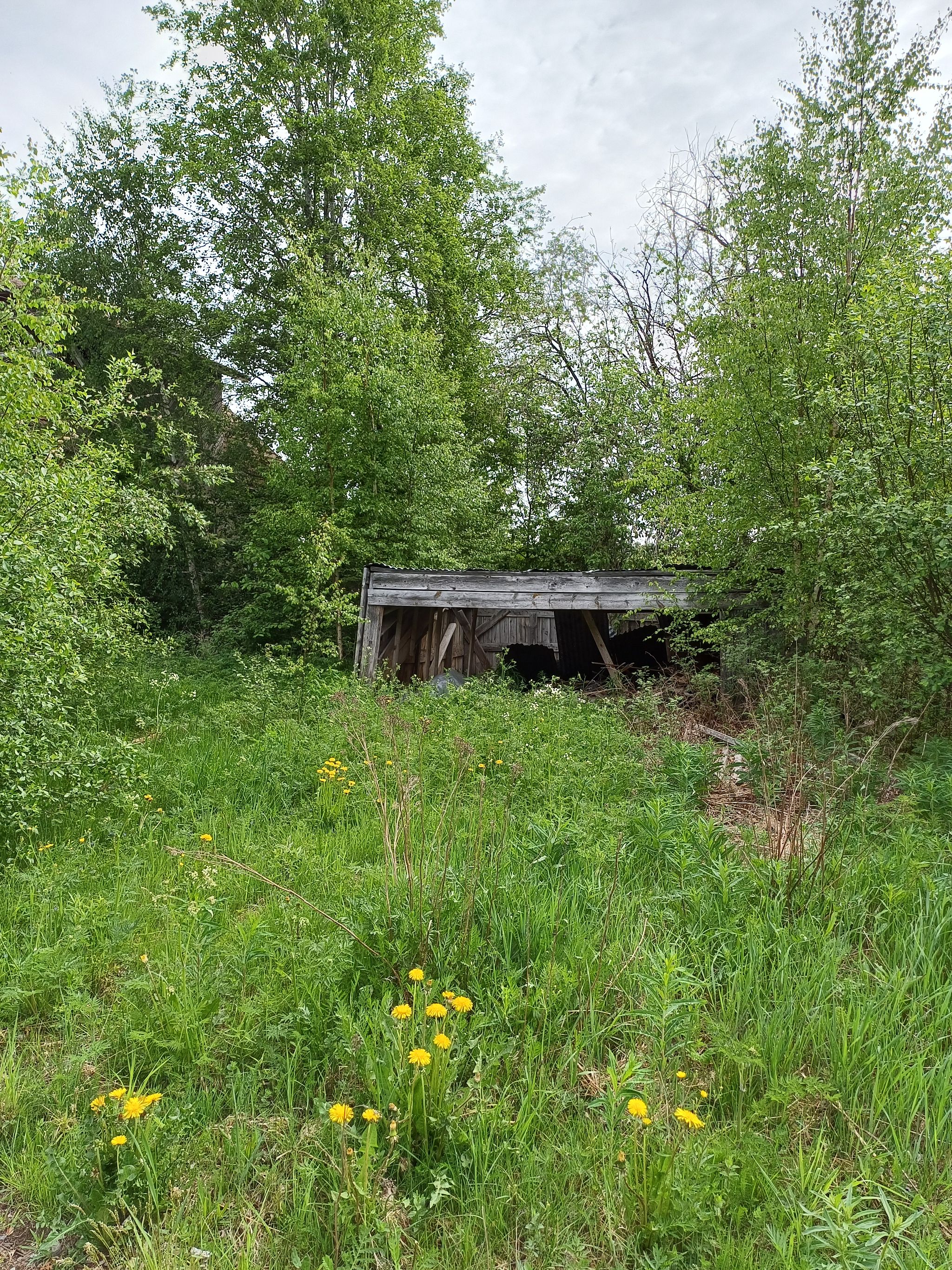 Image 8/8