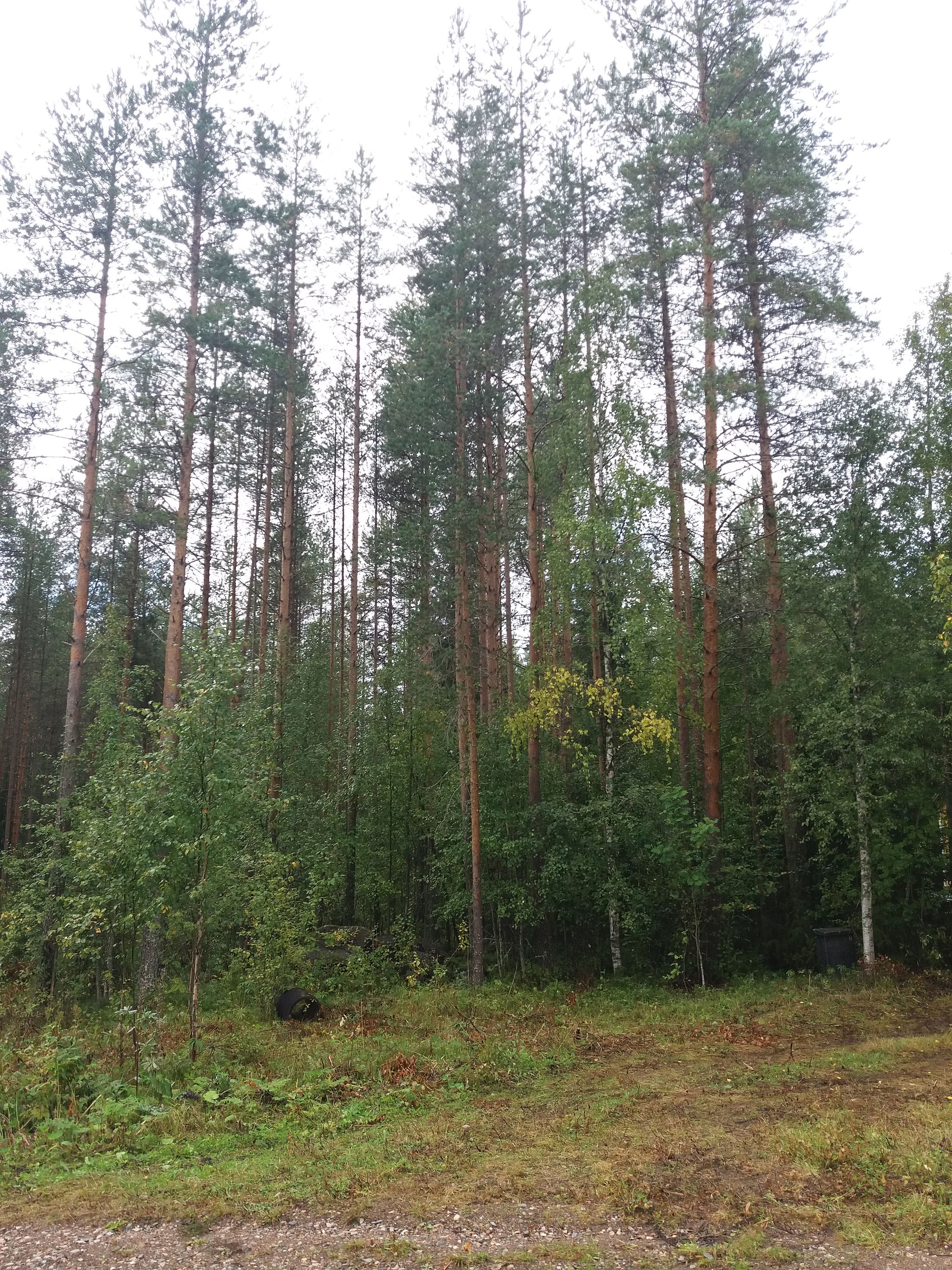 Image 14/21