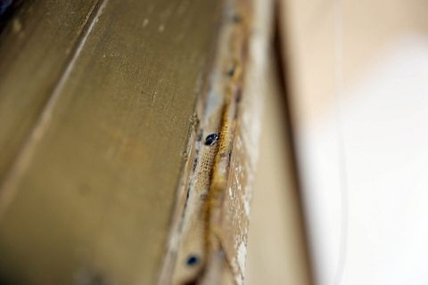 Image 17/19