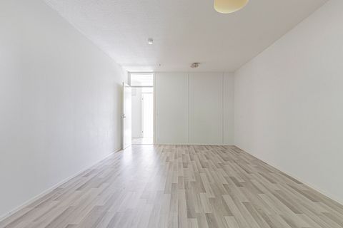 Image 20/23
