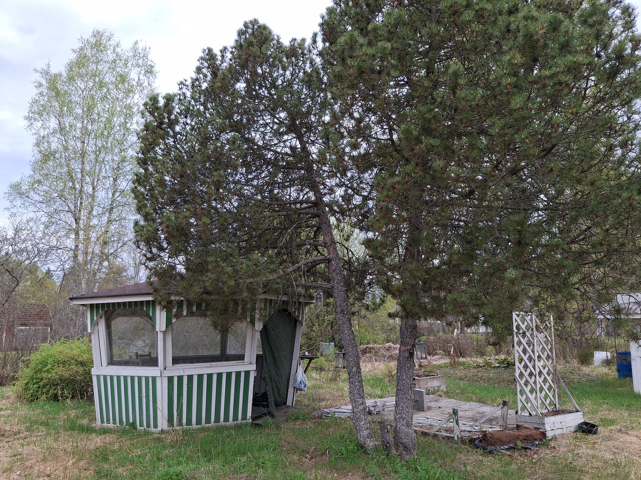 Image 8/36