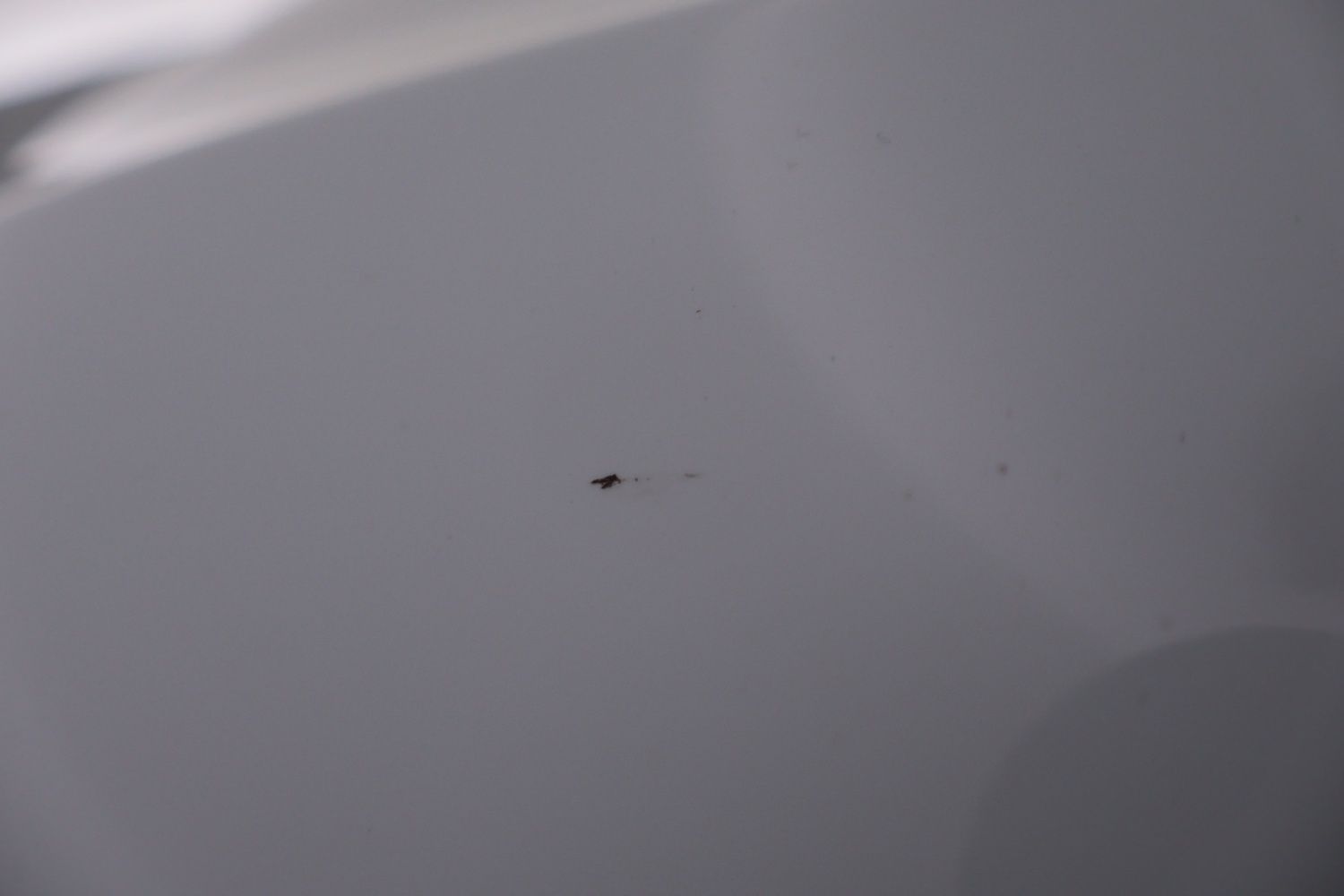 Image 31/61