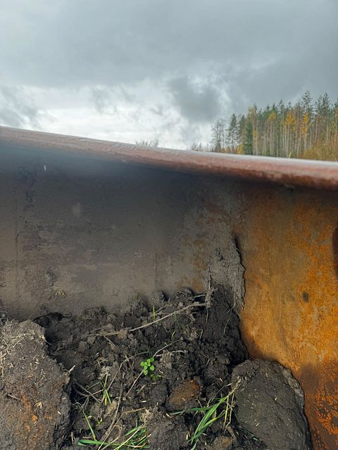 Image 7/7