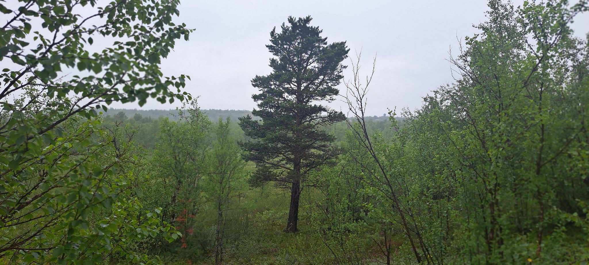 Image 8/18