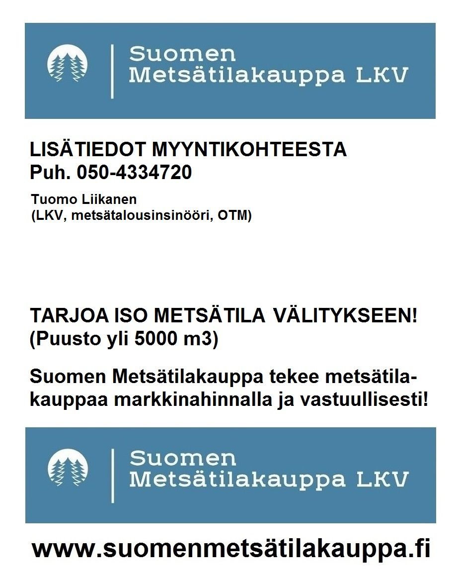 Kuva 53/53