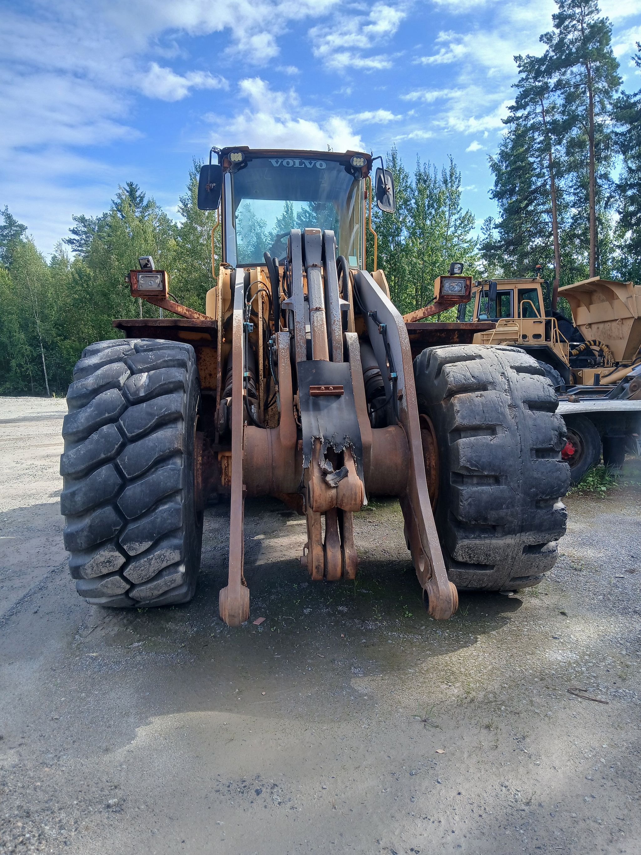 Image 1/11