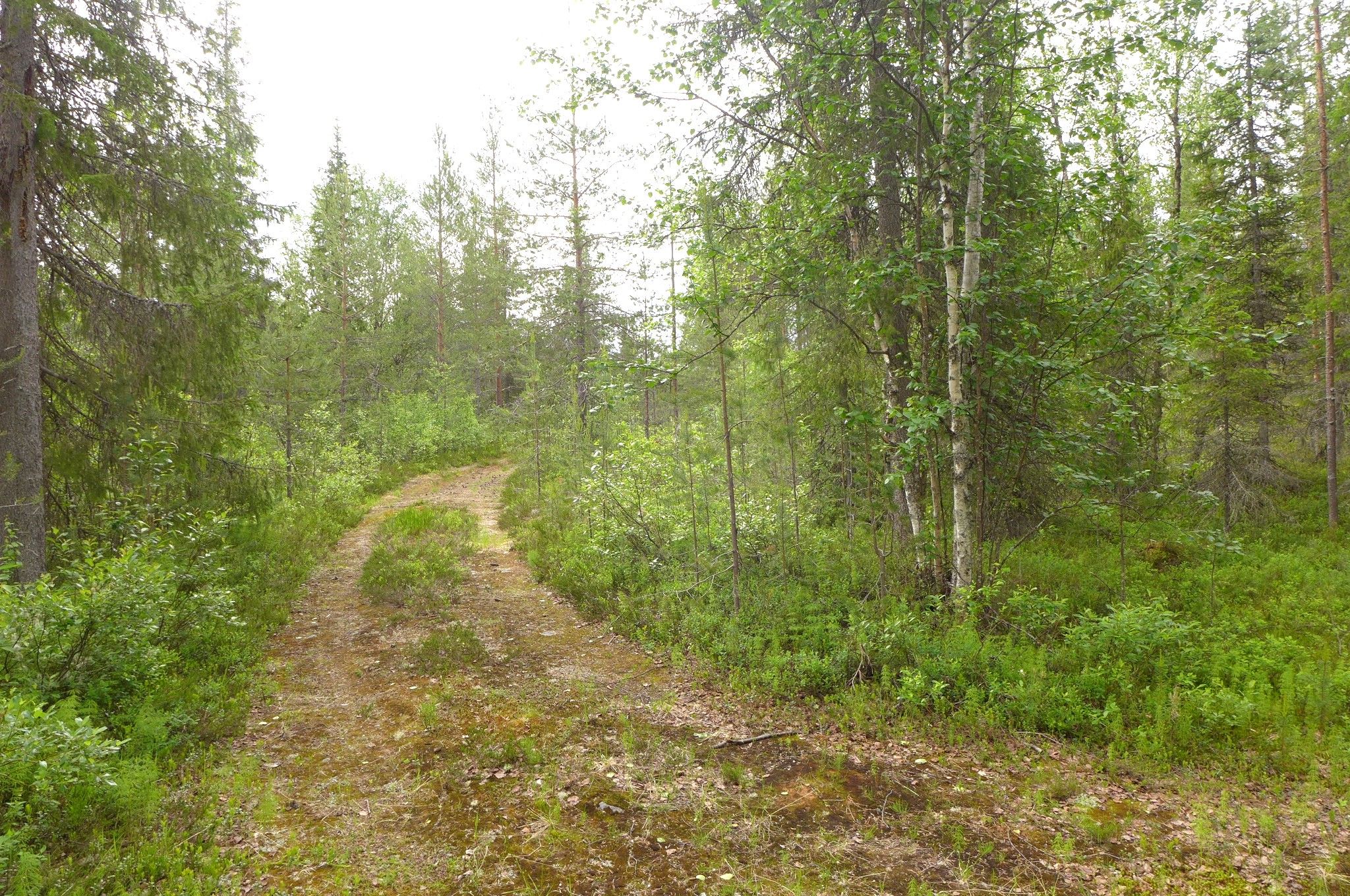 Image 46/51