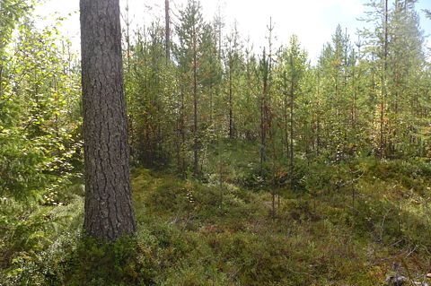 Kuva 4/26