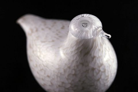 Image 7/17