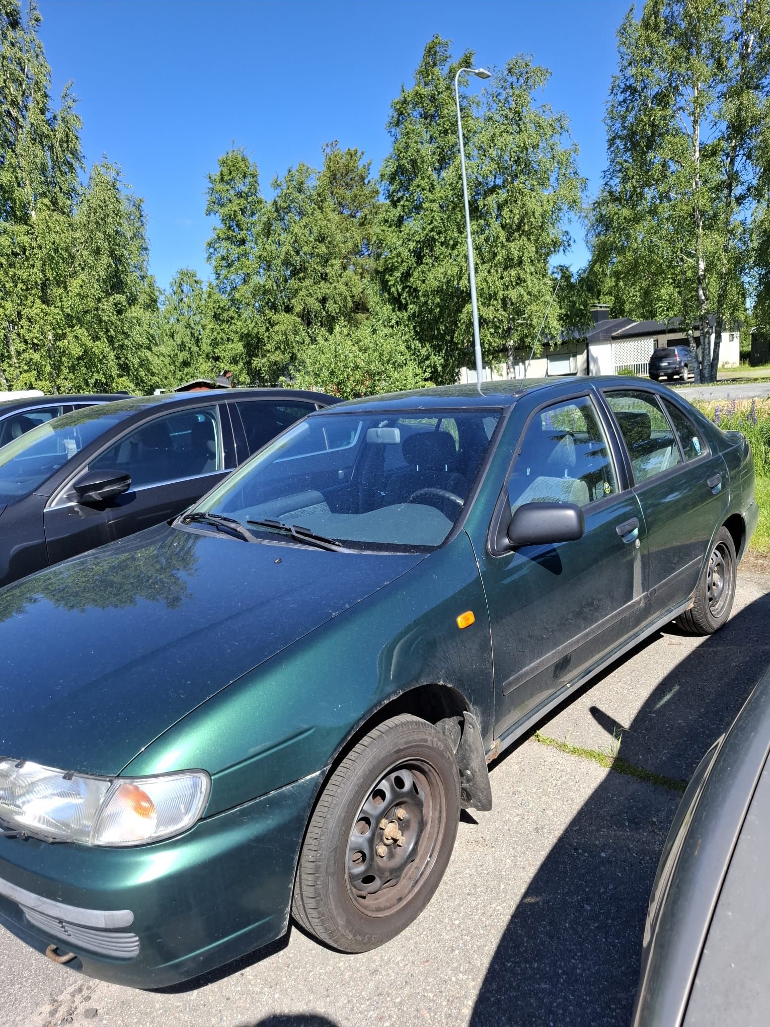 Image 3/31