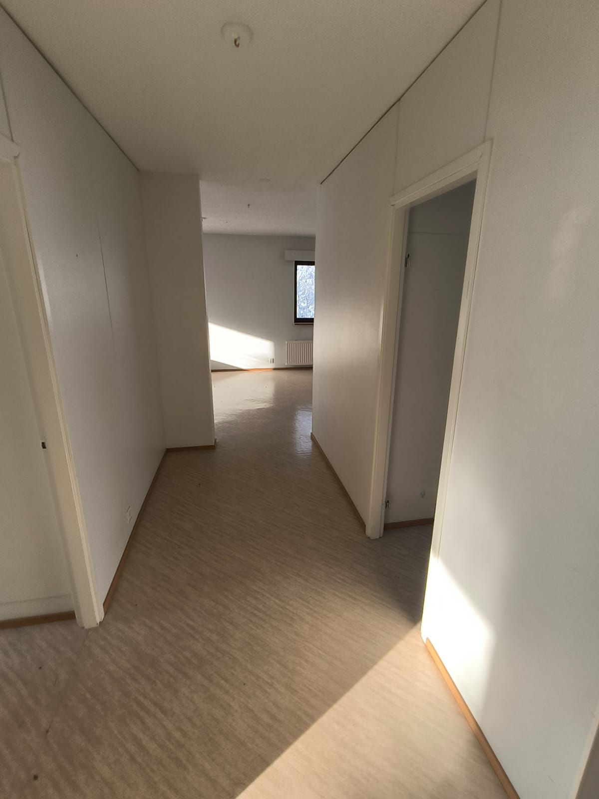 Image 11/20