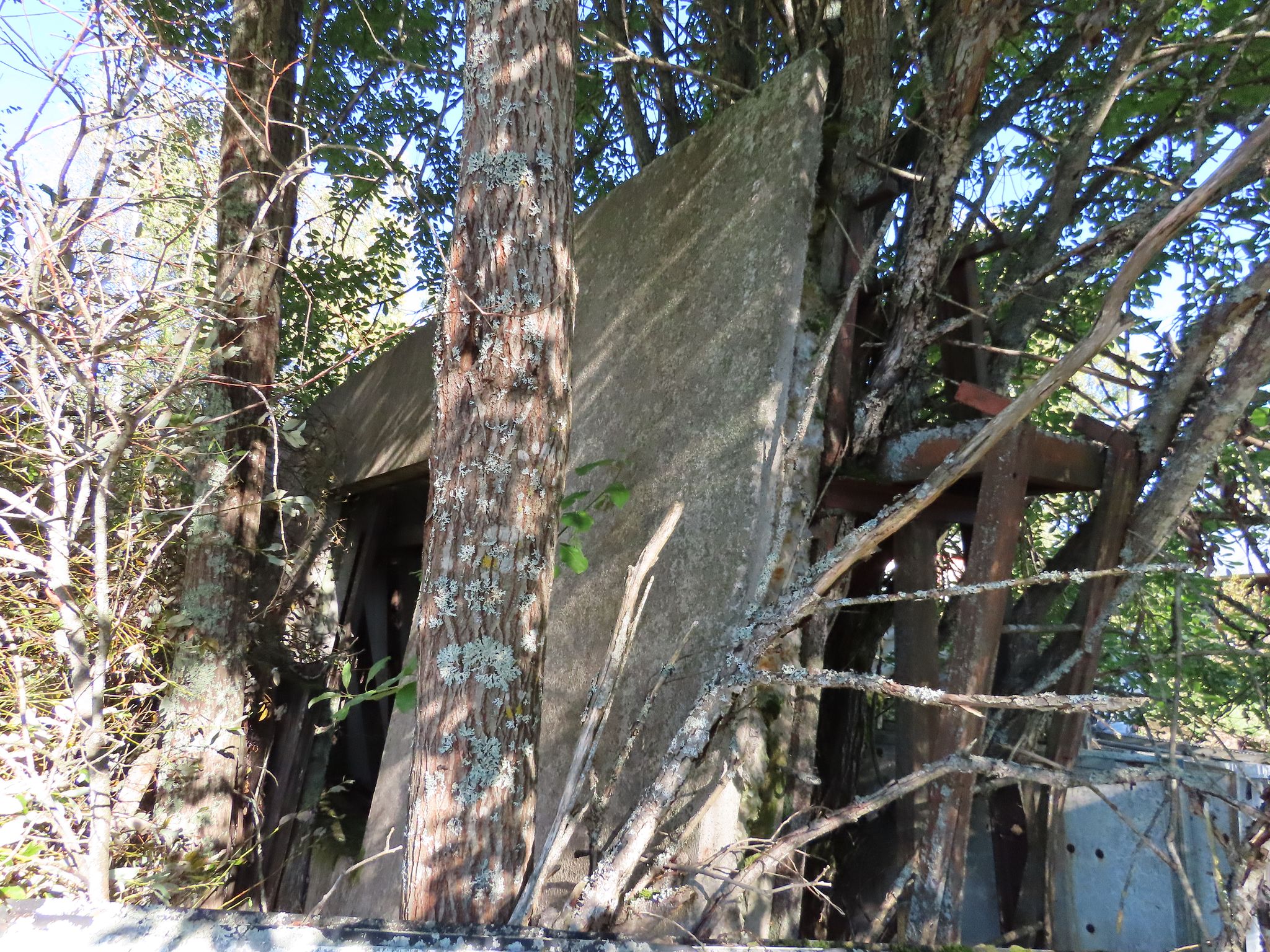 Image 7/11