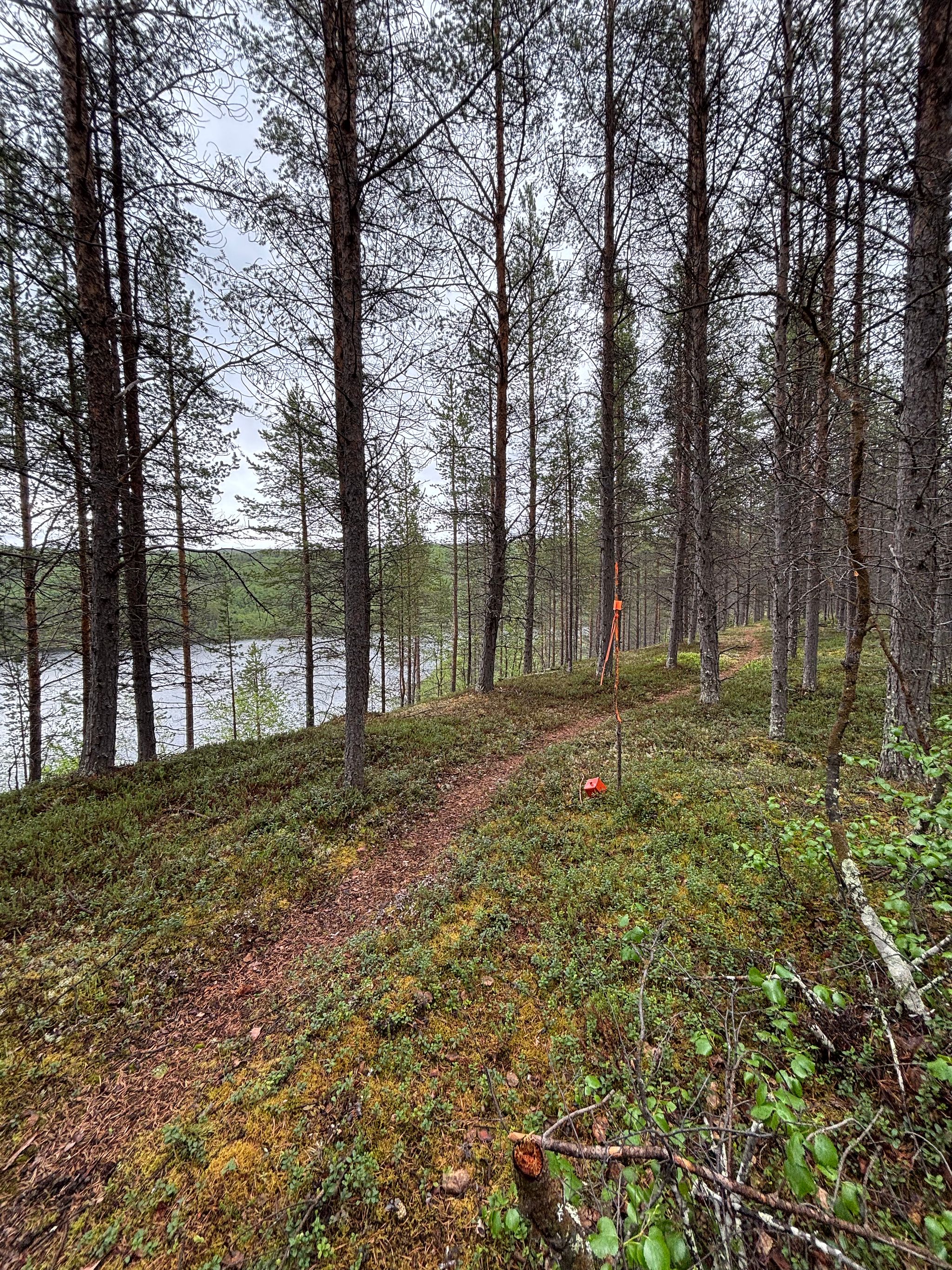 Image 1/12