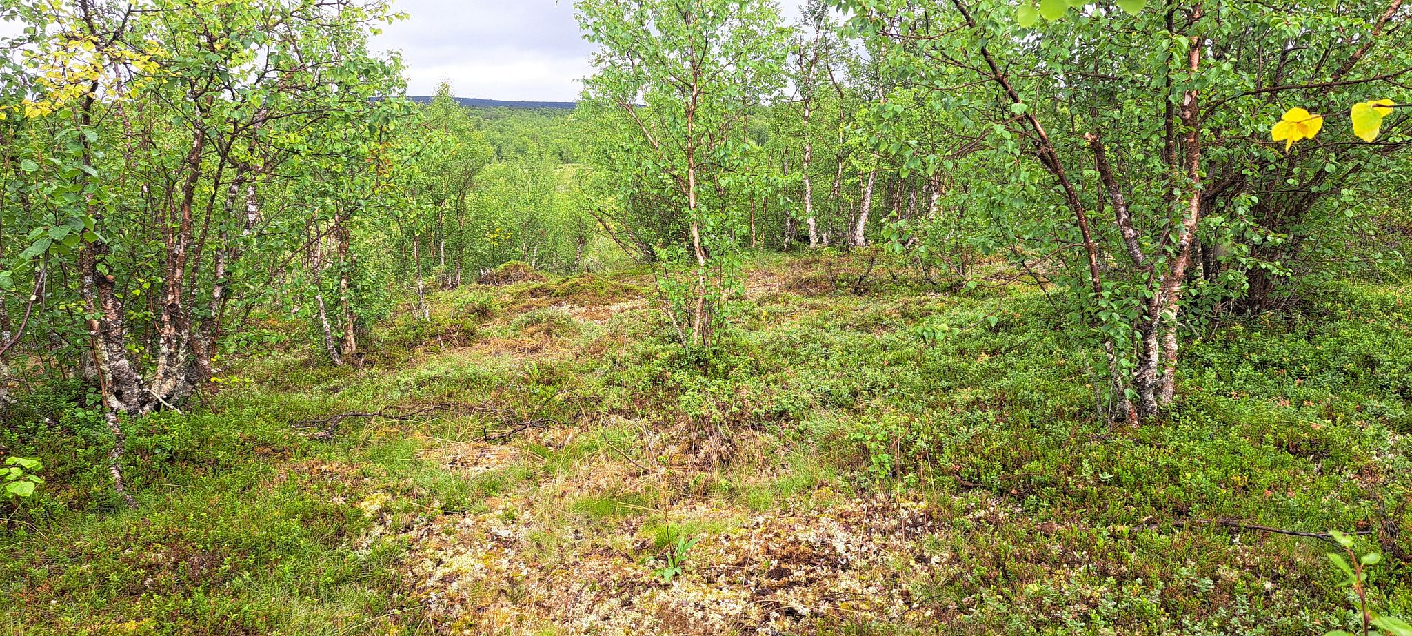 Image 13/18