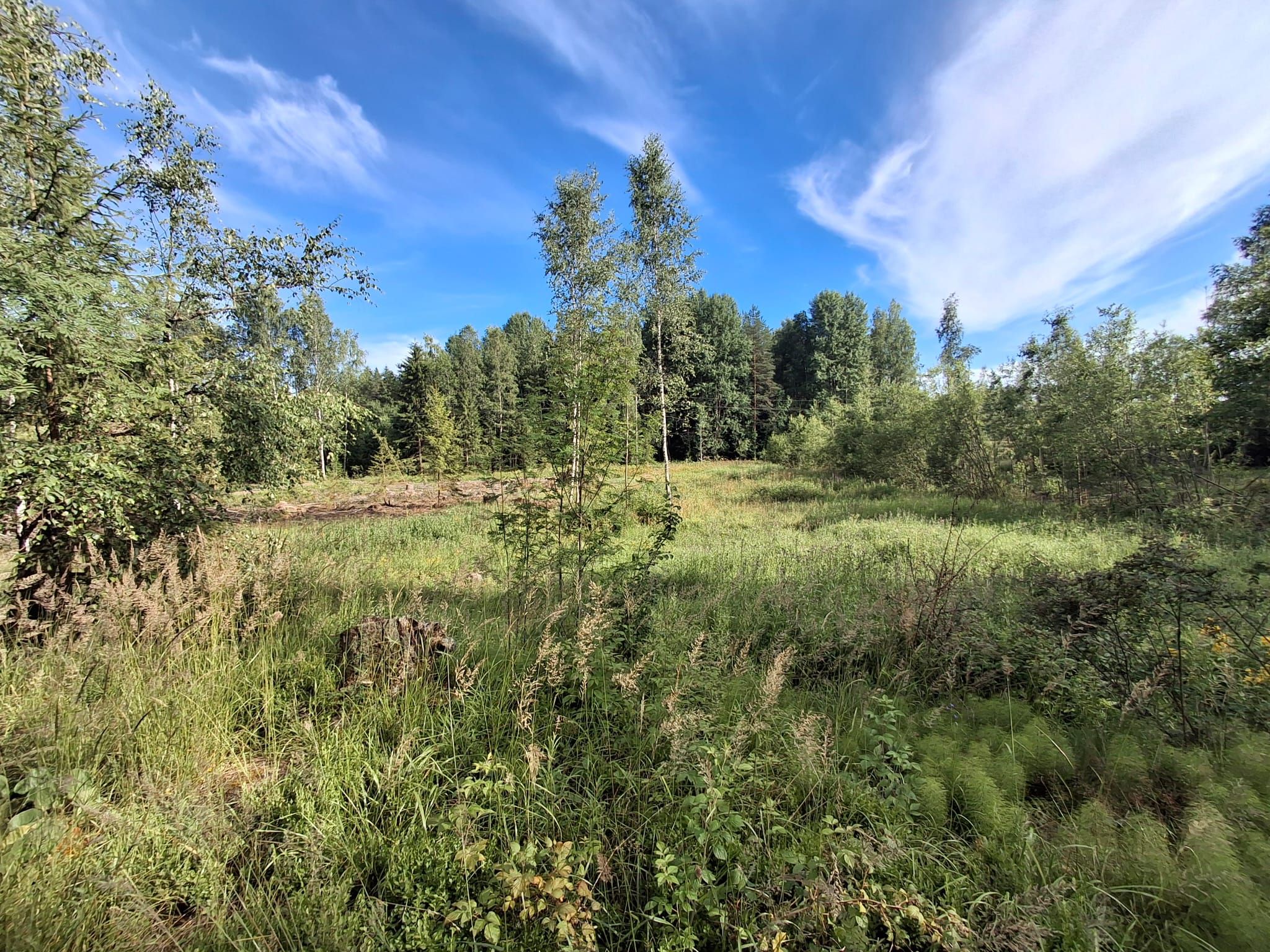 Image 3/23