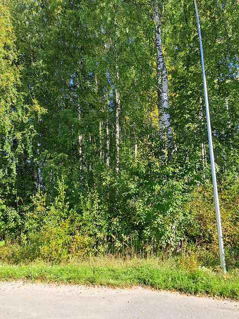 Image 2/6