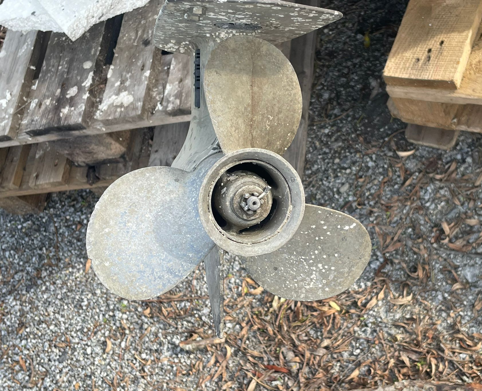 Image 11/15