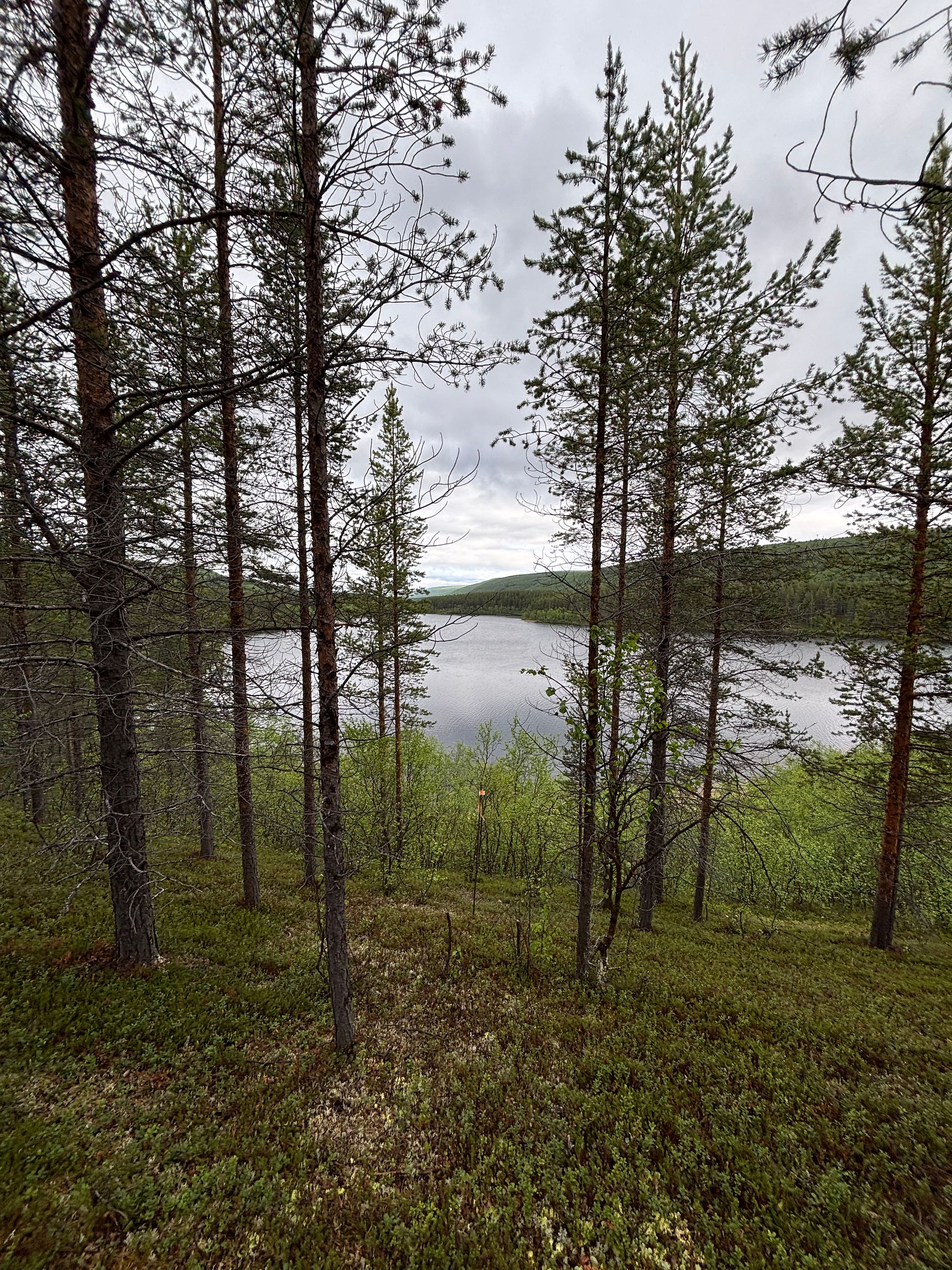 Image 12/12