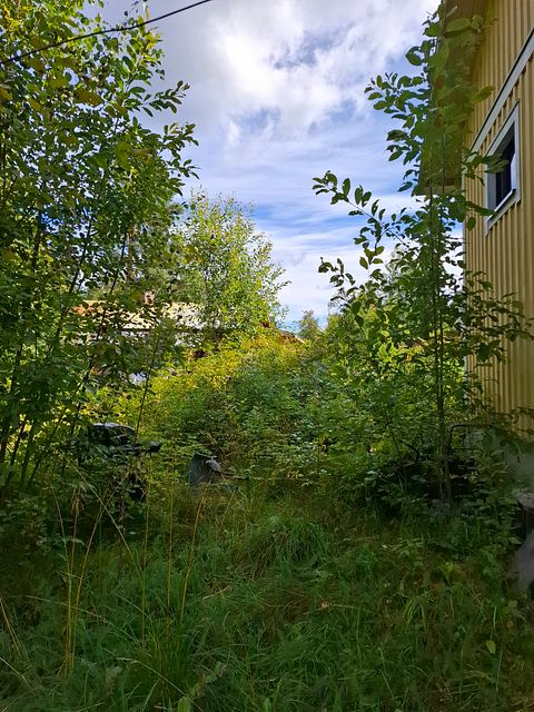 Image 132/142
