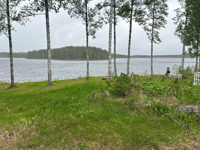 Image 2/25