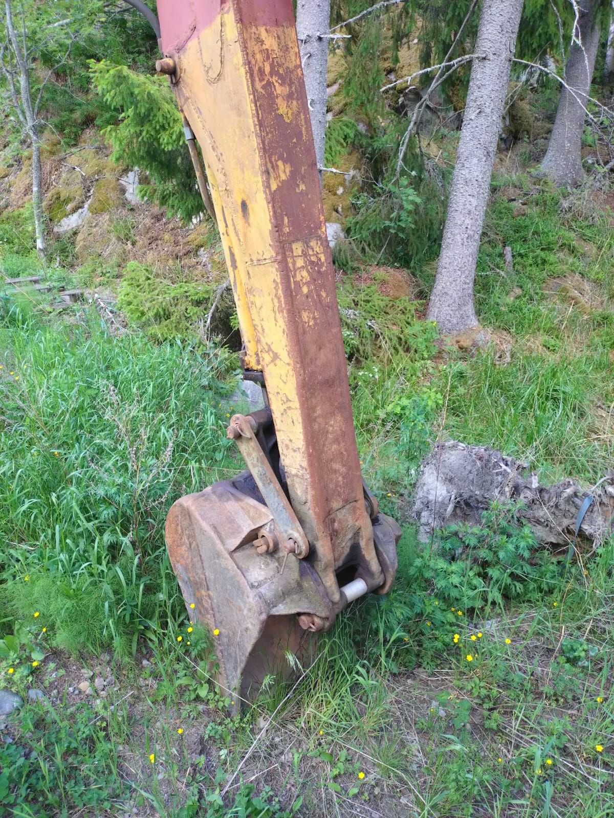Image 11/28