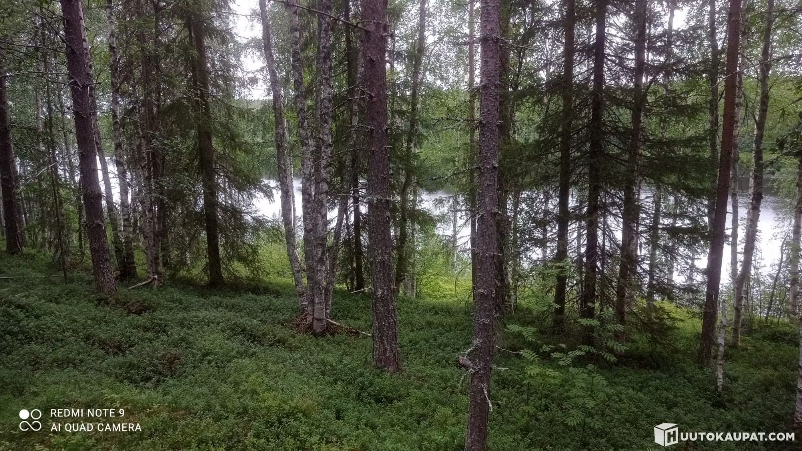 Image 7/8