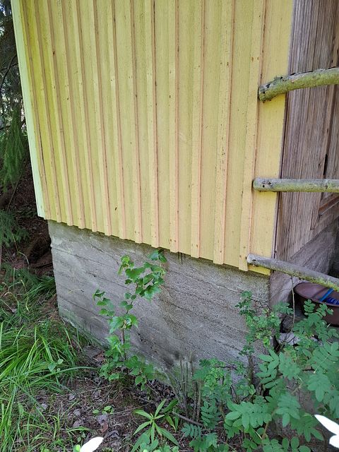 Image 99/142