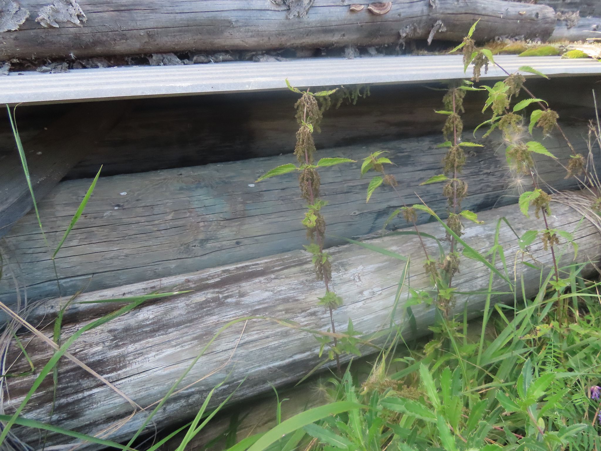 Image 2/7