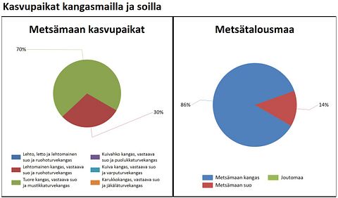 Kuva 7/10
