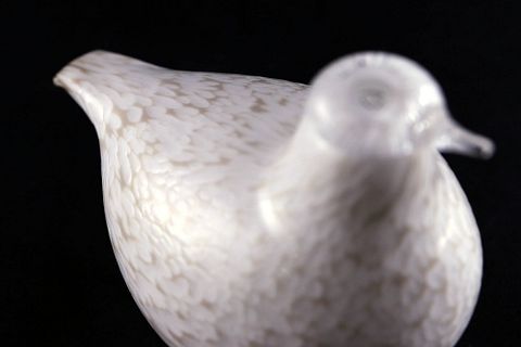 Image 8/17