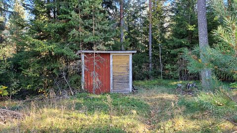 Image 8/38