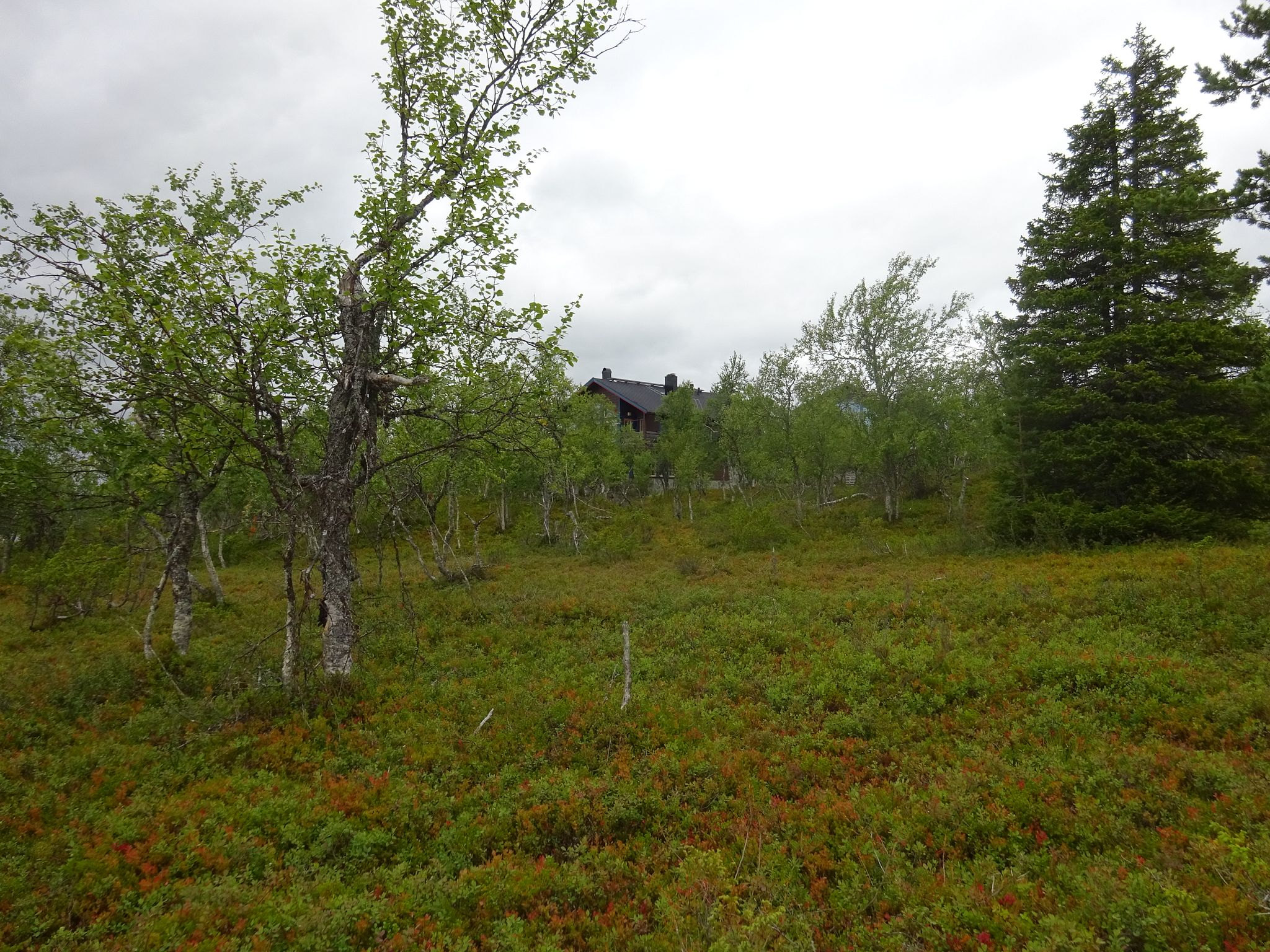 Image 6/8