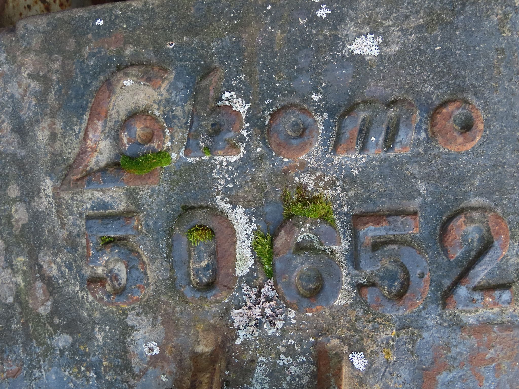 Image 2/15