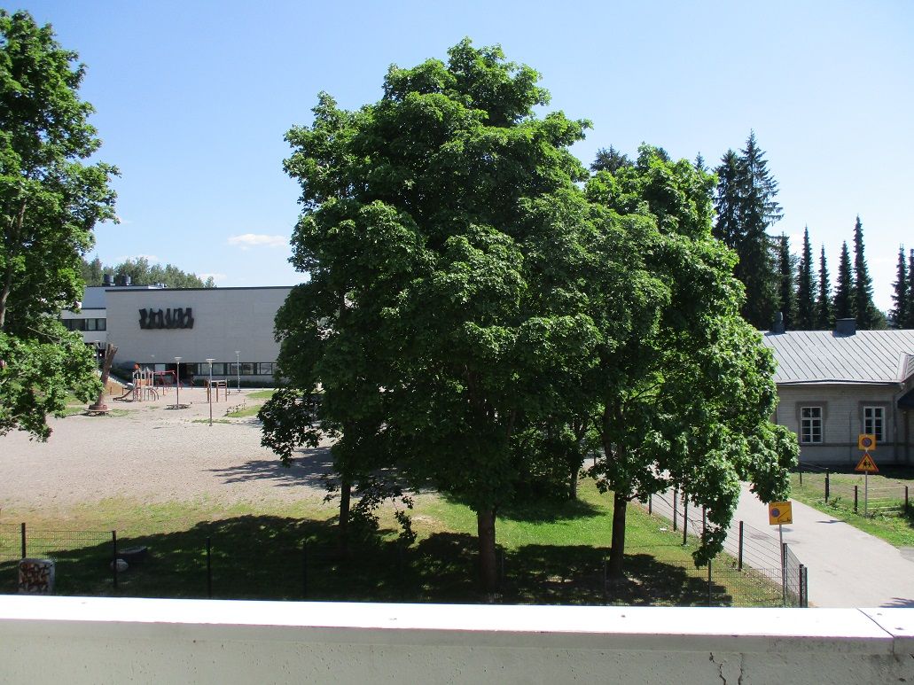 Image 5/8