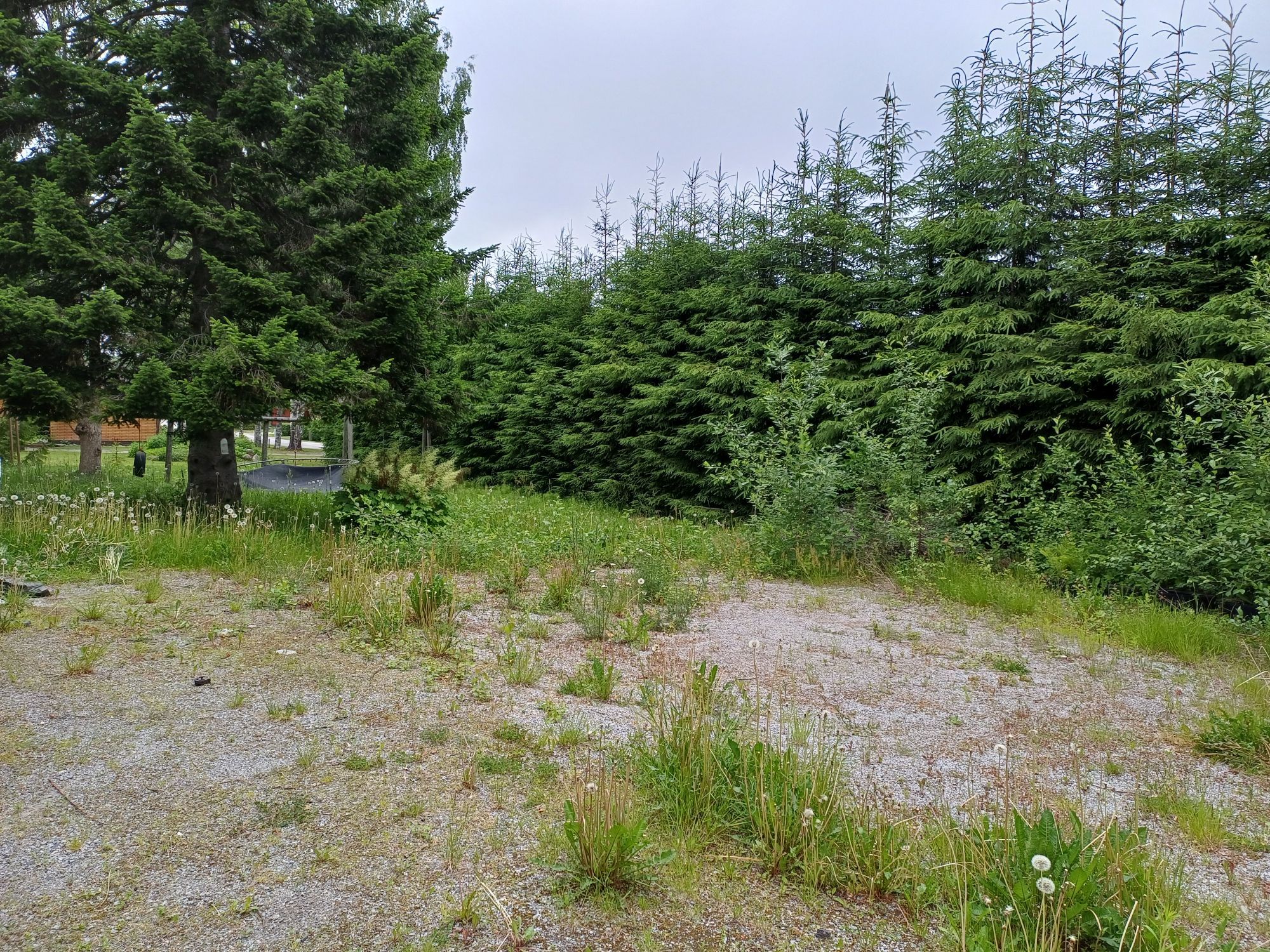 Image 6/35