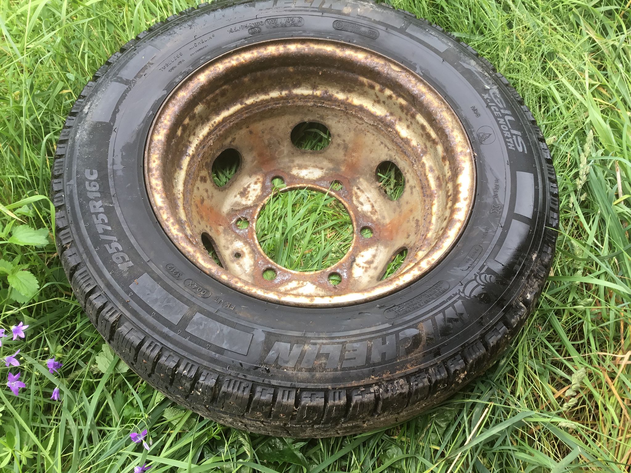 Image 7/7