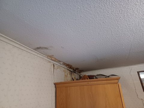 Image 49/100