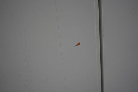 Image 12/13