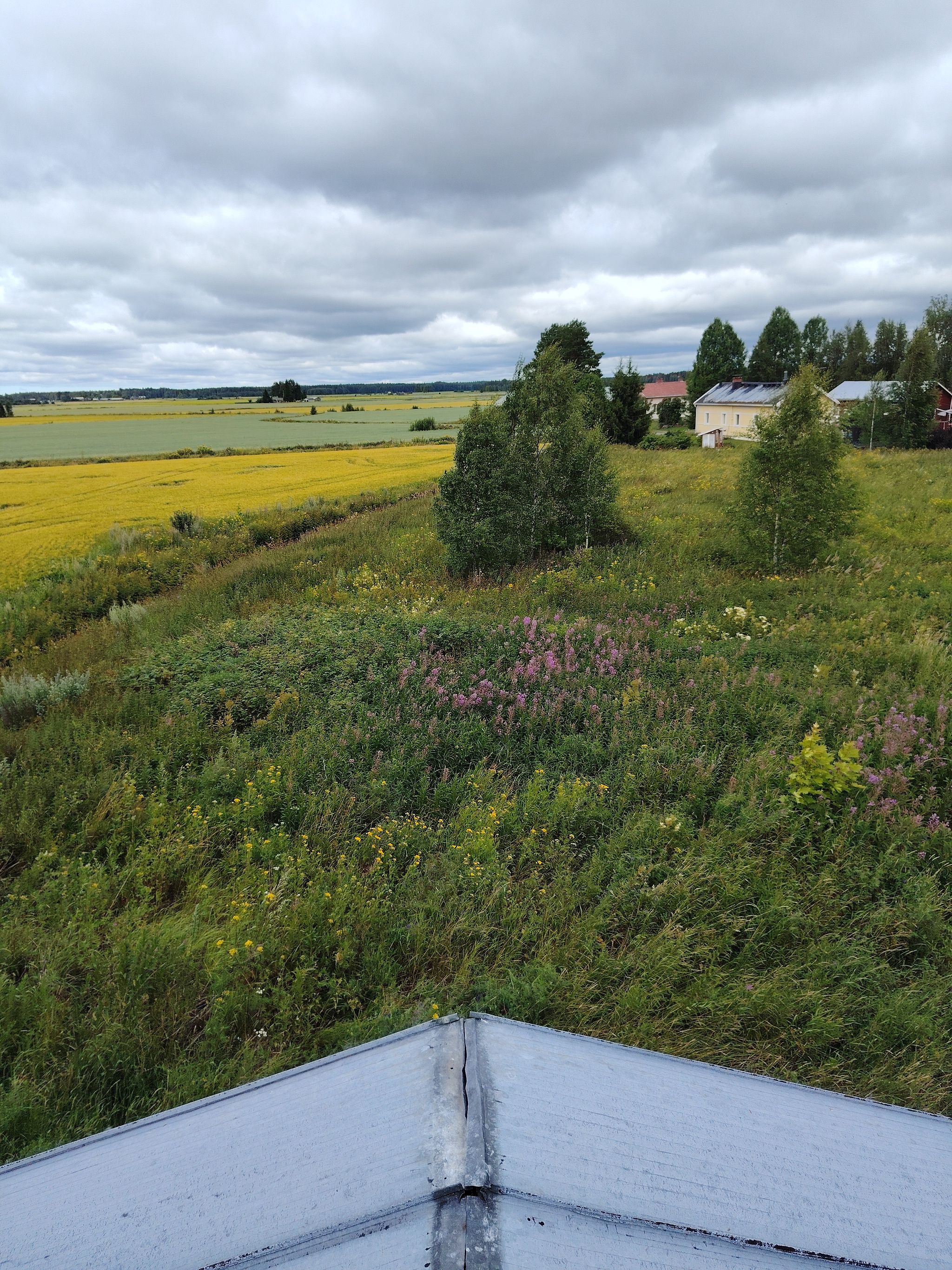 Image 17/61