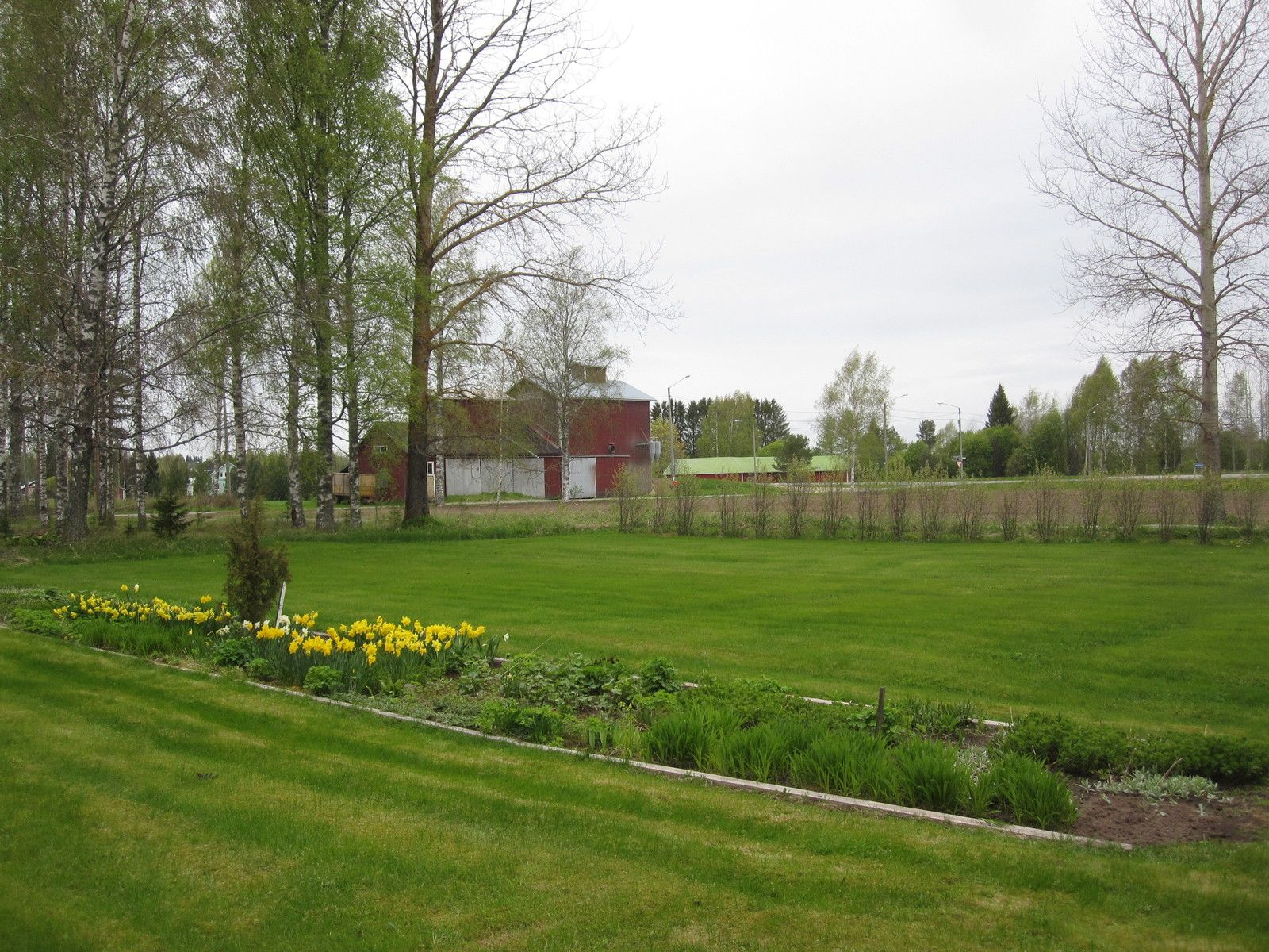 Image 19/50