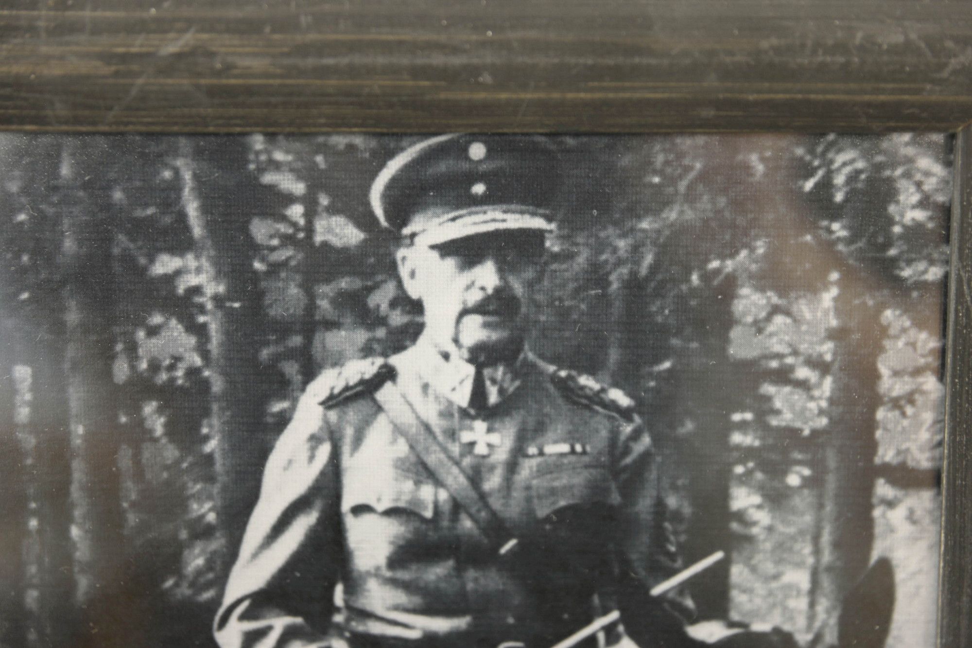 Image 5/15