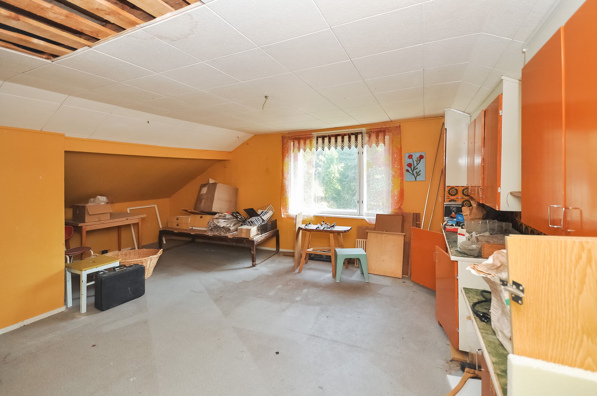 Image 11/19