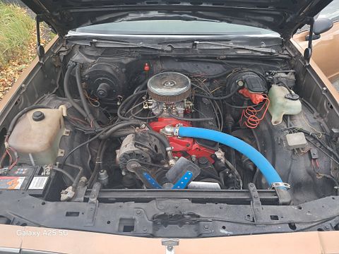 Image 11/11