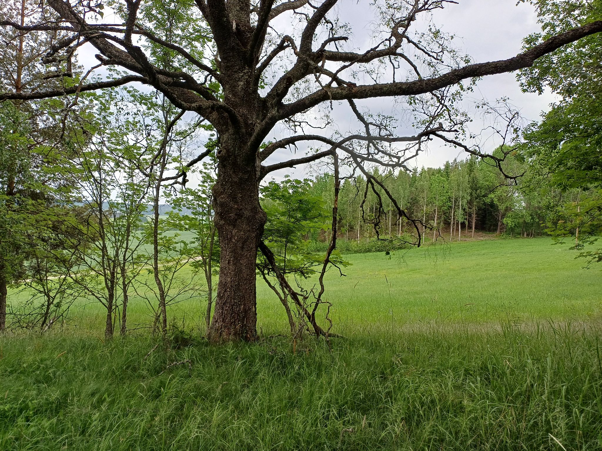 Image 8/12