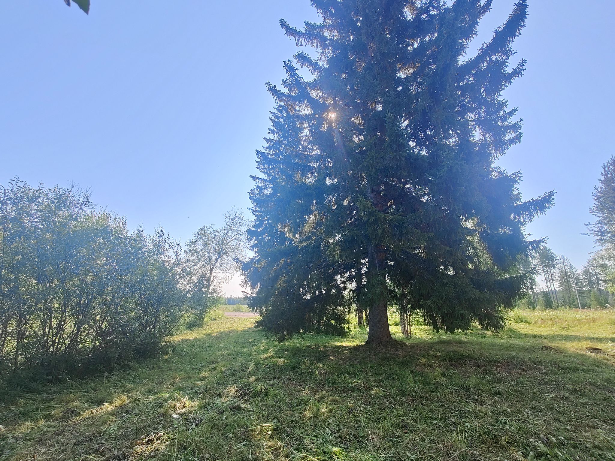 Image 6/30